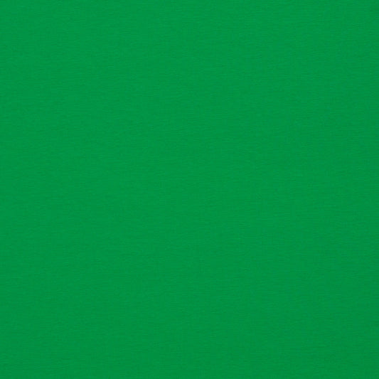 Bild mit Baumwoll-Jersey in Grasgrün 210 g/m² – erhältlich bei Šarlotes audumi