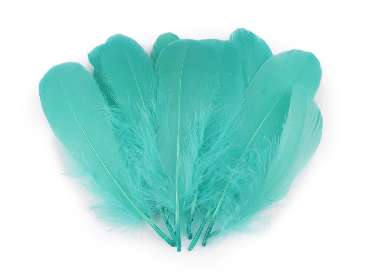 Spinning goose feathers (14 - 18 cm) - turquoise