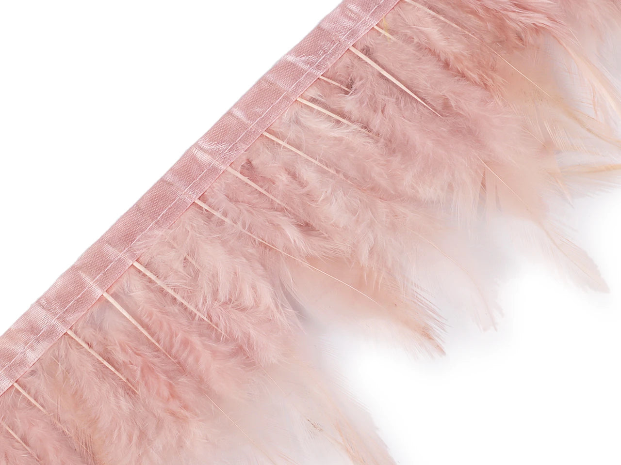 Feather ribbon (rooster) 10-12 cm wide - powder pink