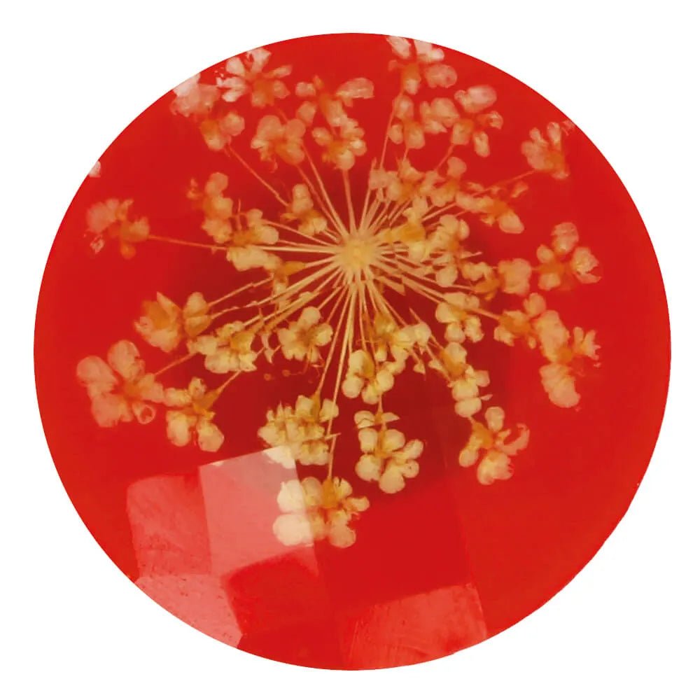 Image avec bouton décoratif en résine avec vraie fleur séchée 25 mm - fleur crème et fond rouge – disponible en ligne chez Tissus de Charlotte