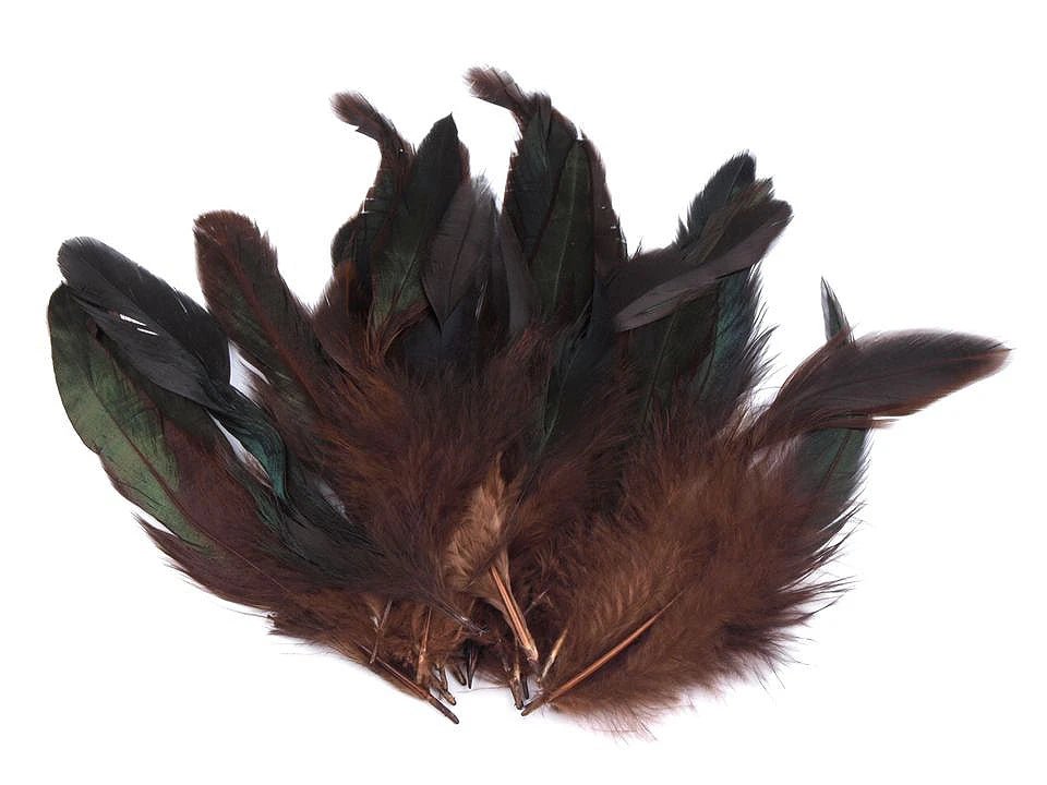 Image avec plumes de poule décoratives 6–20 cm, 20 pcs | tons variés – disponible chez Šarlotes audumi