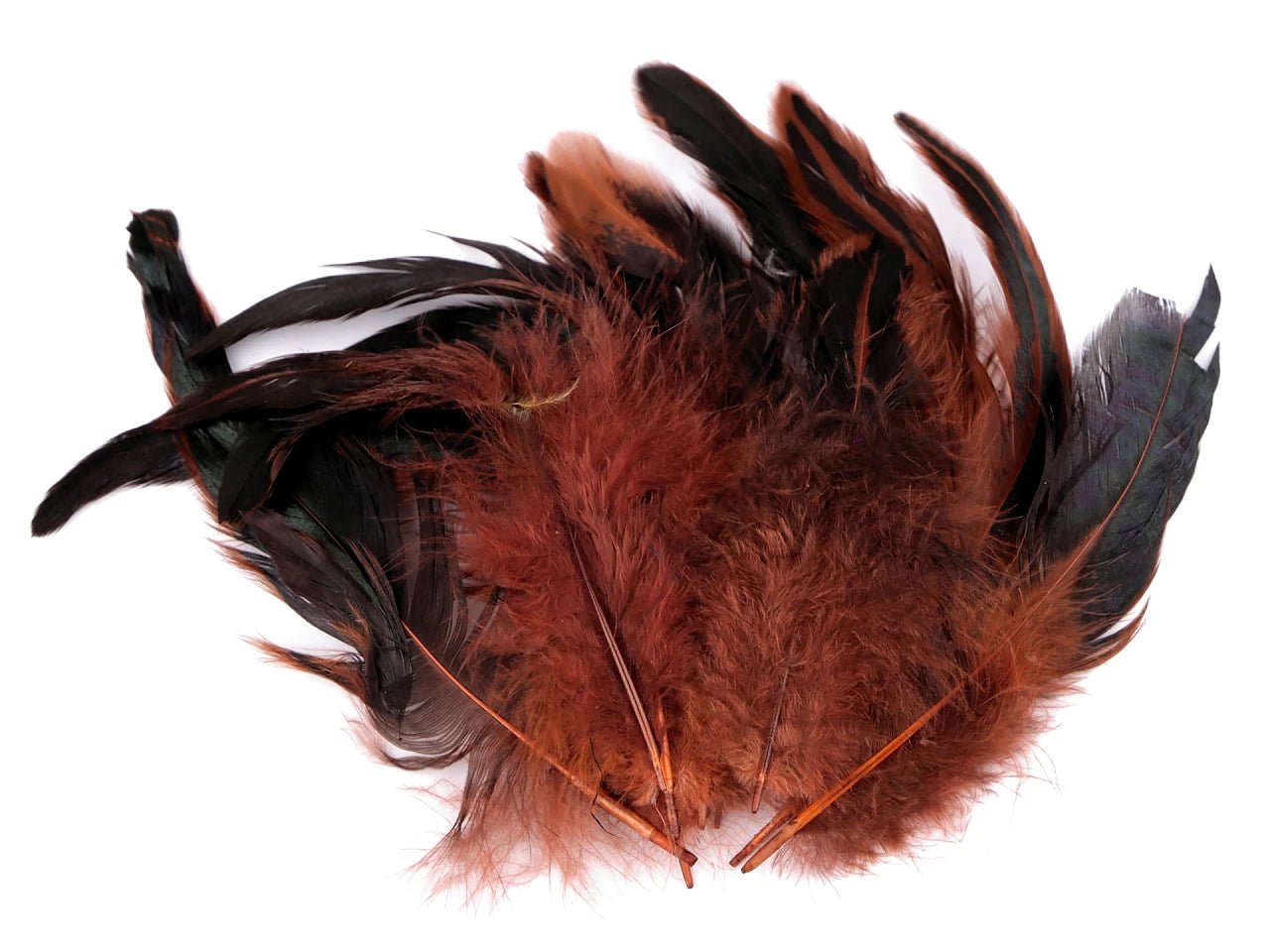 Image of decorative chicken feathers 6–20 cm, 20 pcs|assorted shades – available at Šarlotes audumi