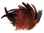 Brownish red