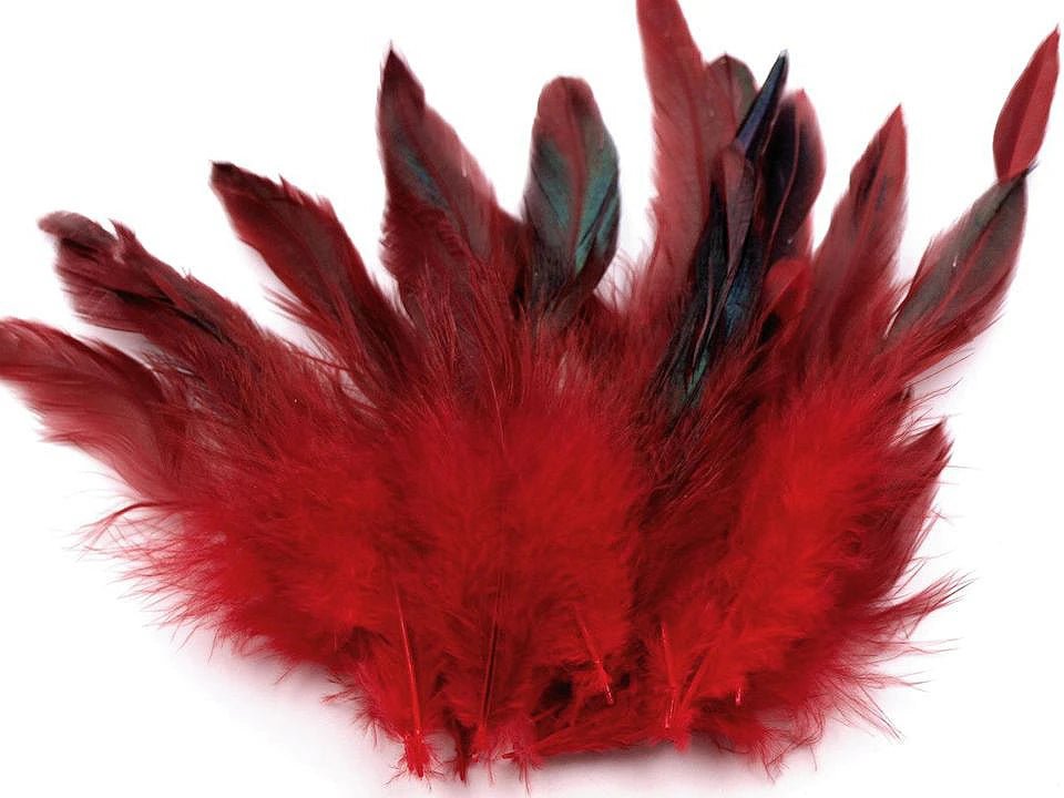 txt
Image de plumes décoratives de poule 6–20 cm, 20 pièces|teintes variées – disponible chez Šarlotes audumi