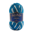 Ravenclaw – wisdom and curiosity.