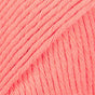 01 · Aprikose einfarbig