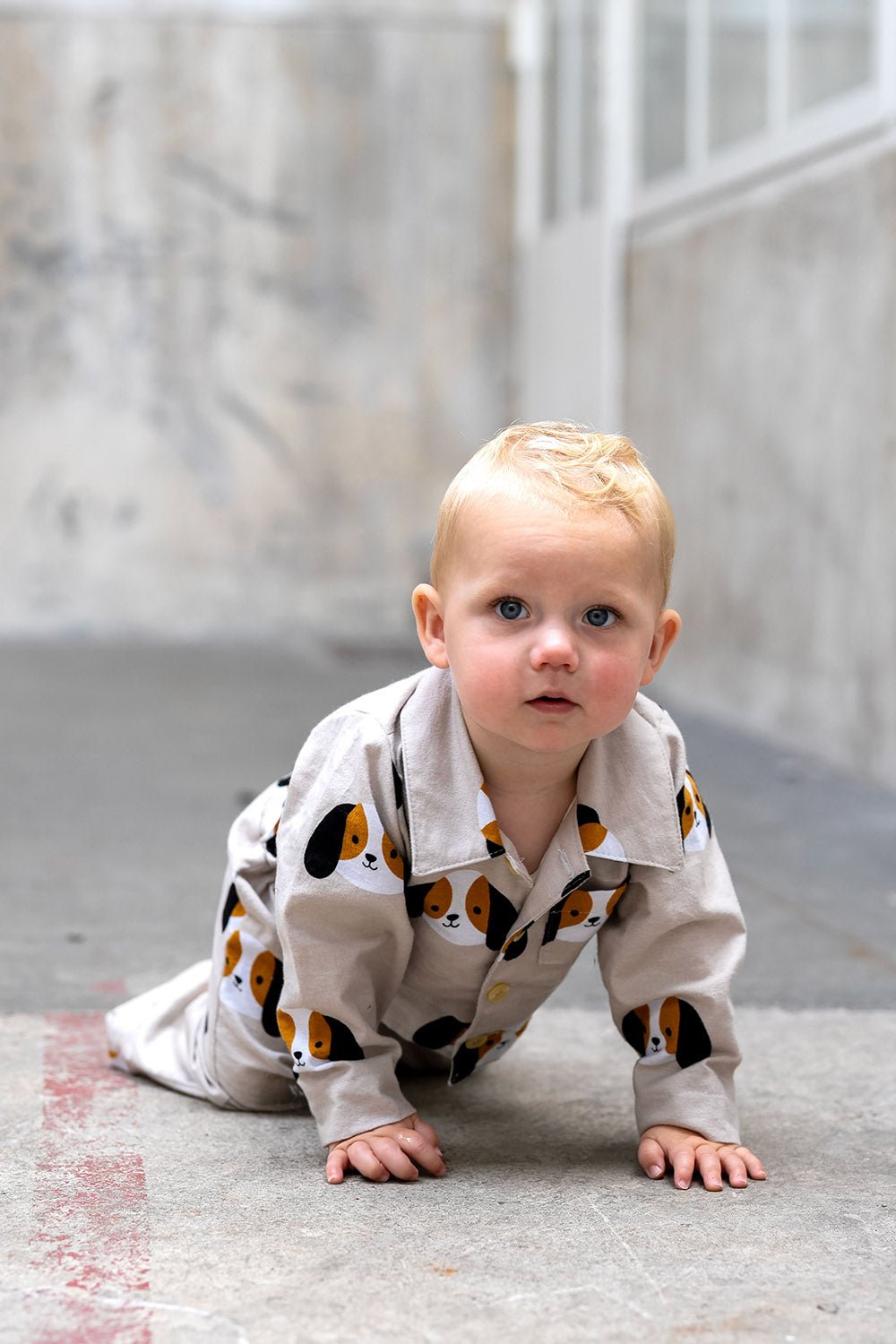 Image of Flannel - dogs 165 g/m² – available at Charlotte's Fabrics