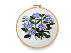 Hortensie