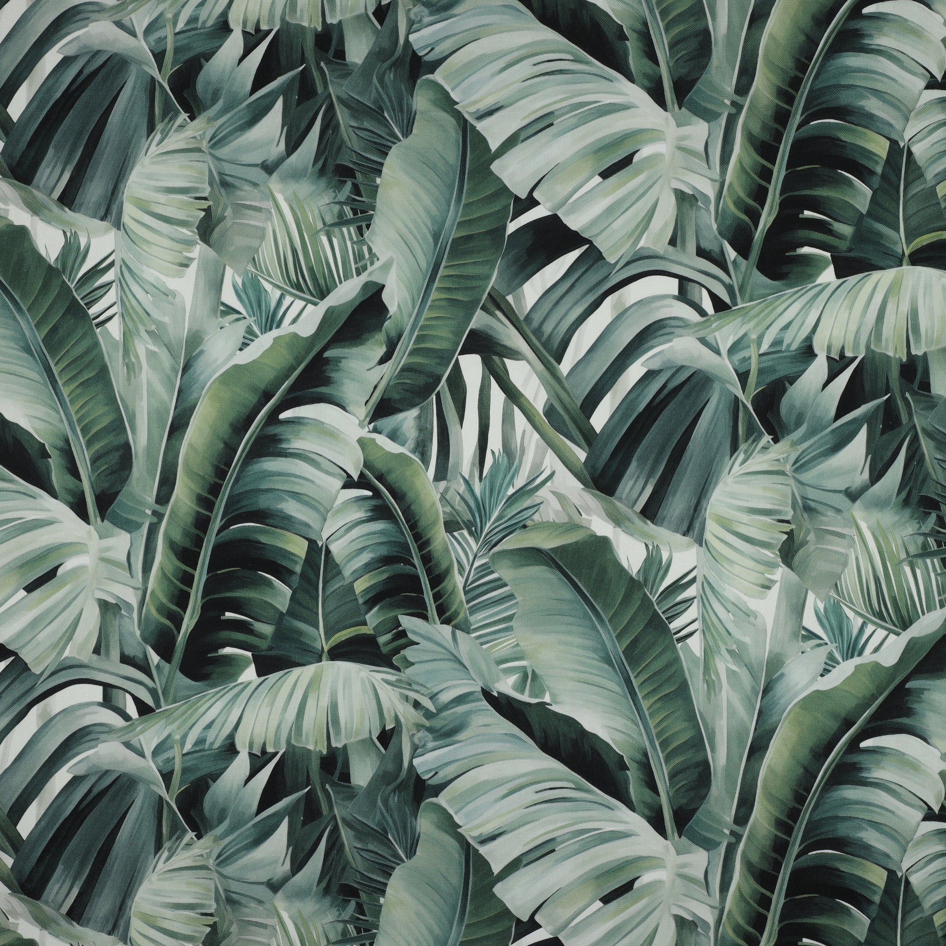Image with canvas fabric - tropical leaves 225 g/m² – available at Šarlotes audumi
