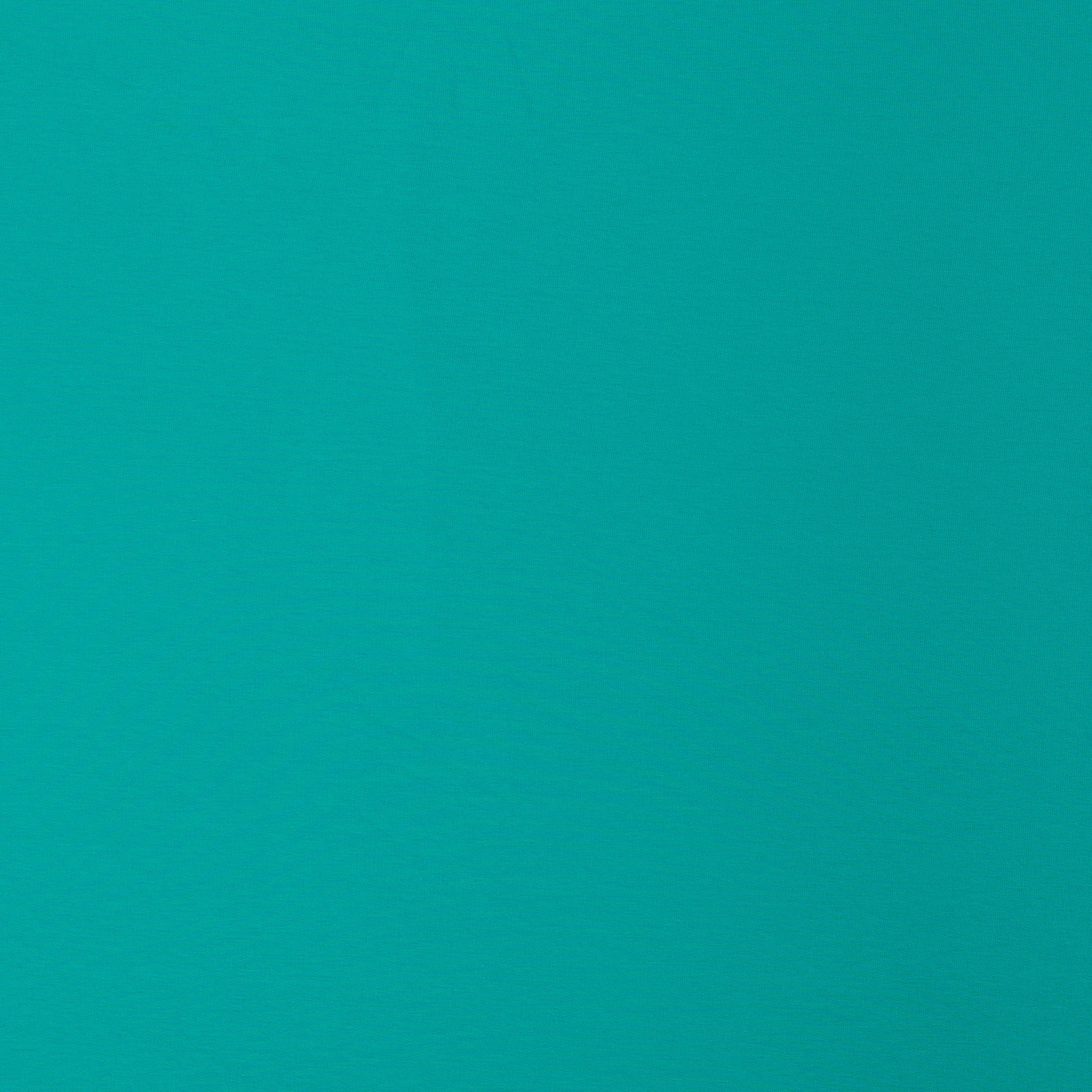 Kokvilnas cilpiņtrikotāža - aqua 240 g/m²