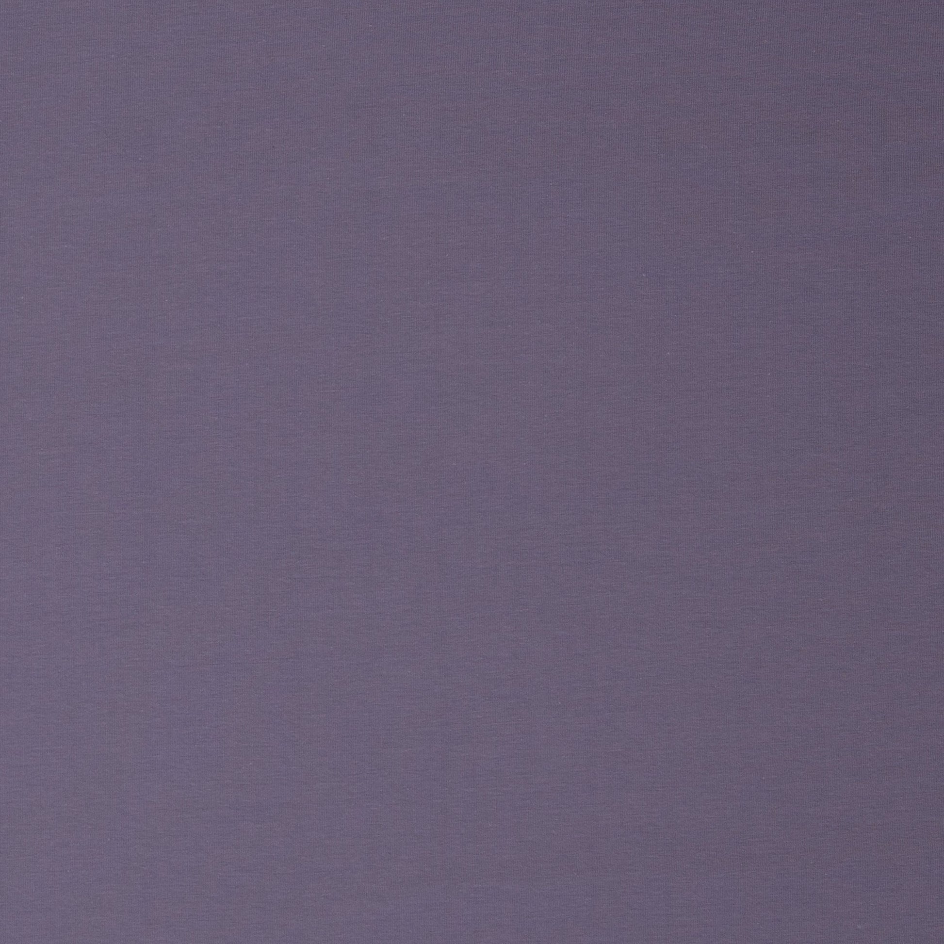 Image de jersey éponge en coton lilas fumé 230 g/m² – disponible en ligne chez Šarlotes audumi
