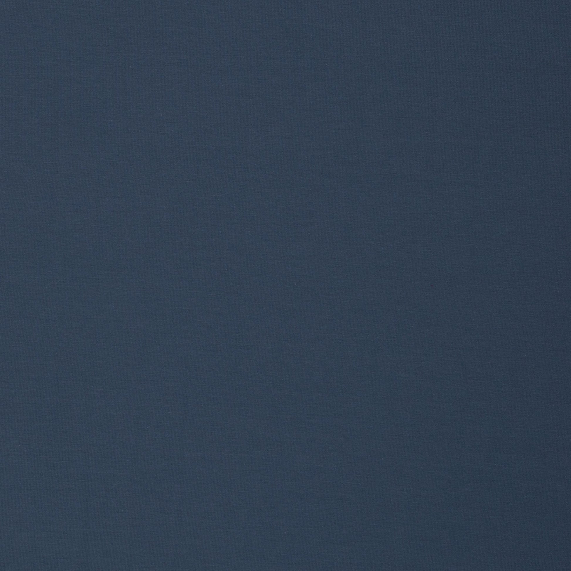 Image avec jersey bouclette en coton, bleu denim, 230 g/m² – disponible en ligne chez Šarlotes audumi