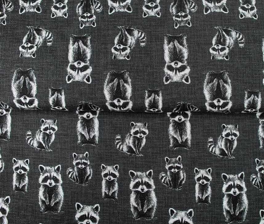 Image with Cotton loopback knit - raccoons 265 g/m² – available at Šarlotes audumi