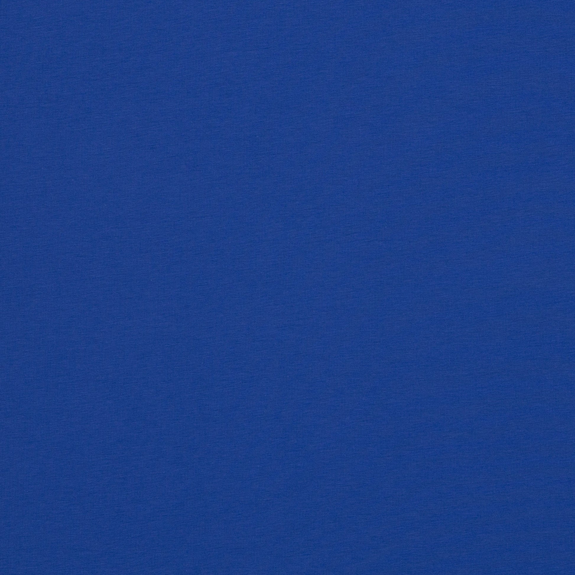 Image of cotton loopback knit - cobalt blue 235 g/m² – available at Charlotte's Fabrics