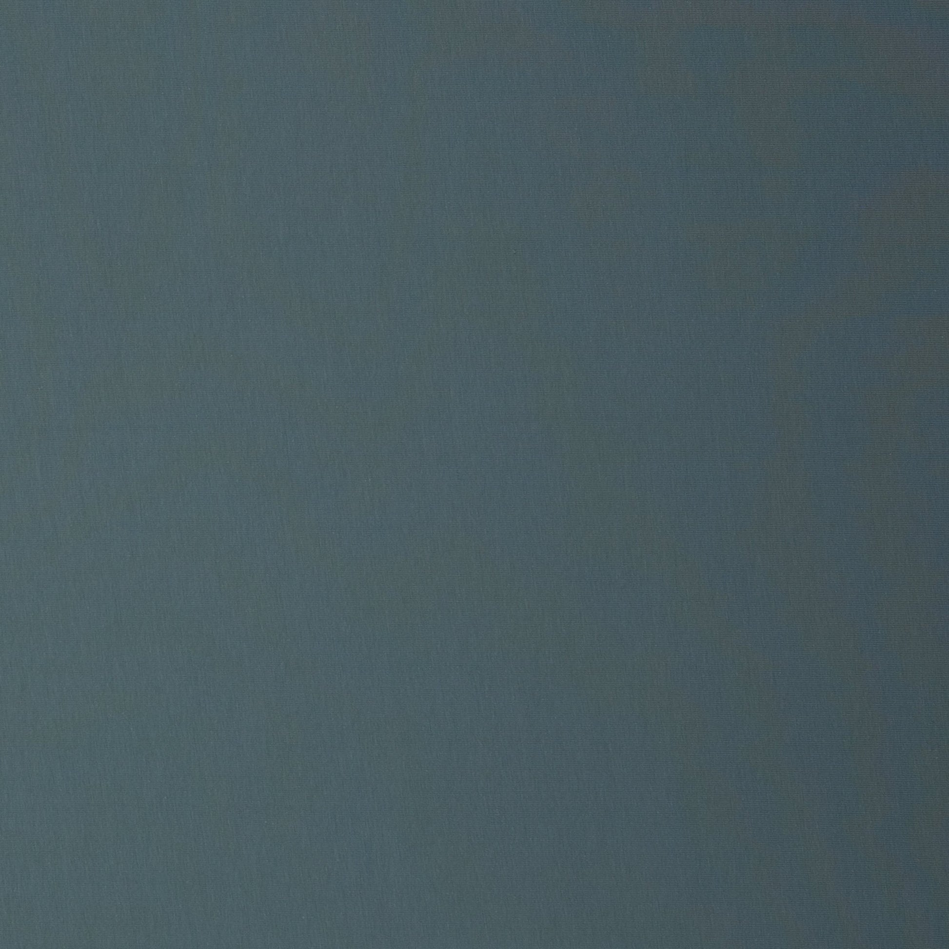 Image de tissu en jersey bouclette en coton bleu-vert brumeux 230 g/m² – disponible en ligne chez Šarlotes audumi