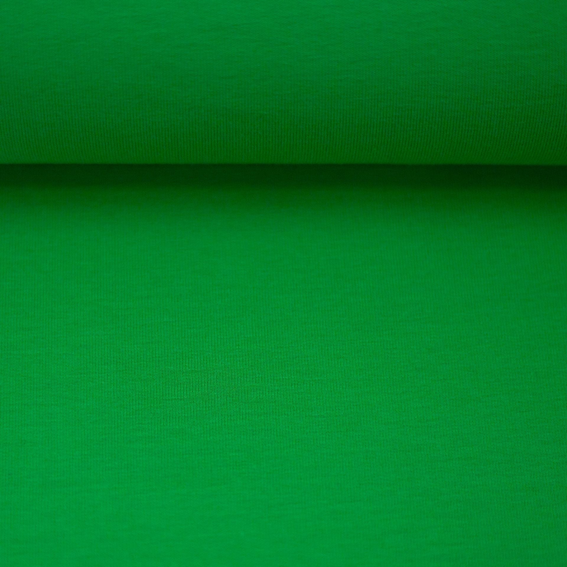 Image de jersey bouclette en coton vert gazon 230 g/m² – disponible en ligne chez Šarlotes audumi