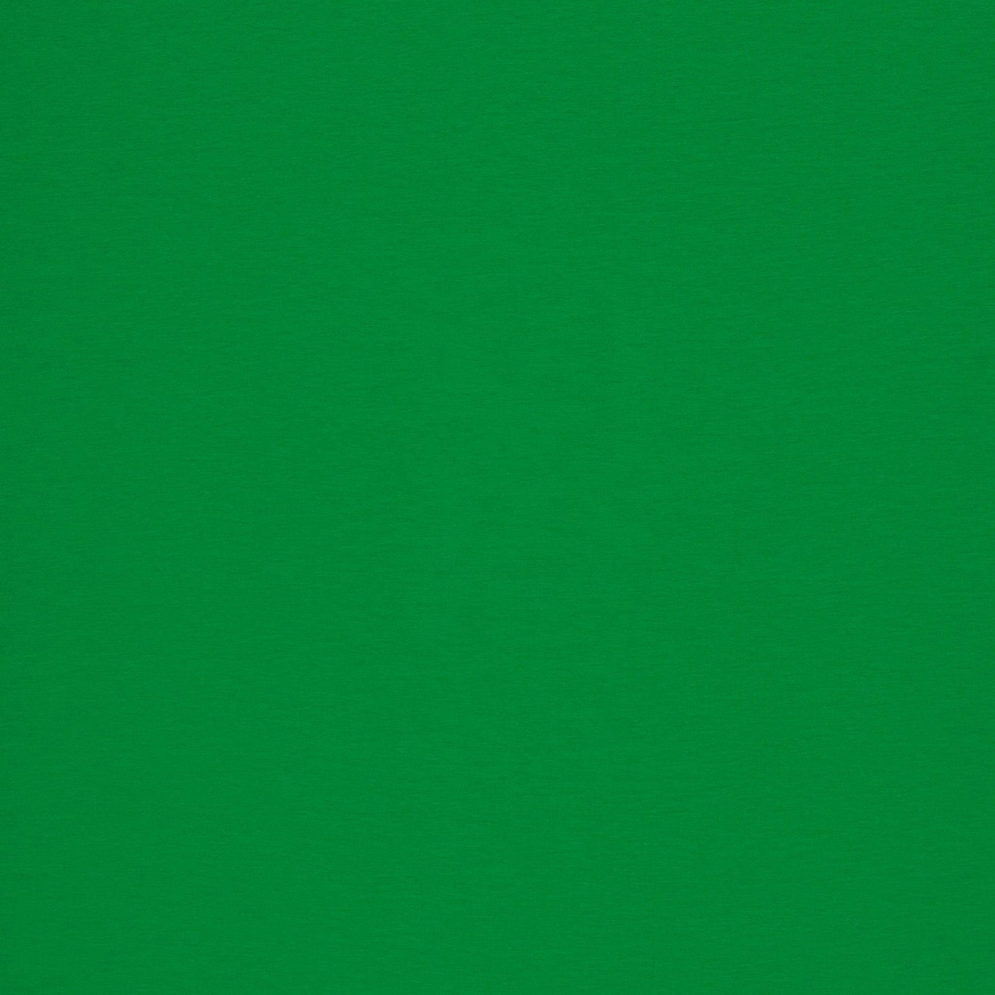 Image de tissu en maille éponge en coton vert gazon 230 g/m² – disponible en ligne chez Šarlotes audumi