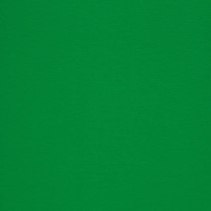 Image de tissu en maille éponge en coton vert gazon 230 g/m² – disponible en ligne chez Šarlotes audumi