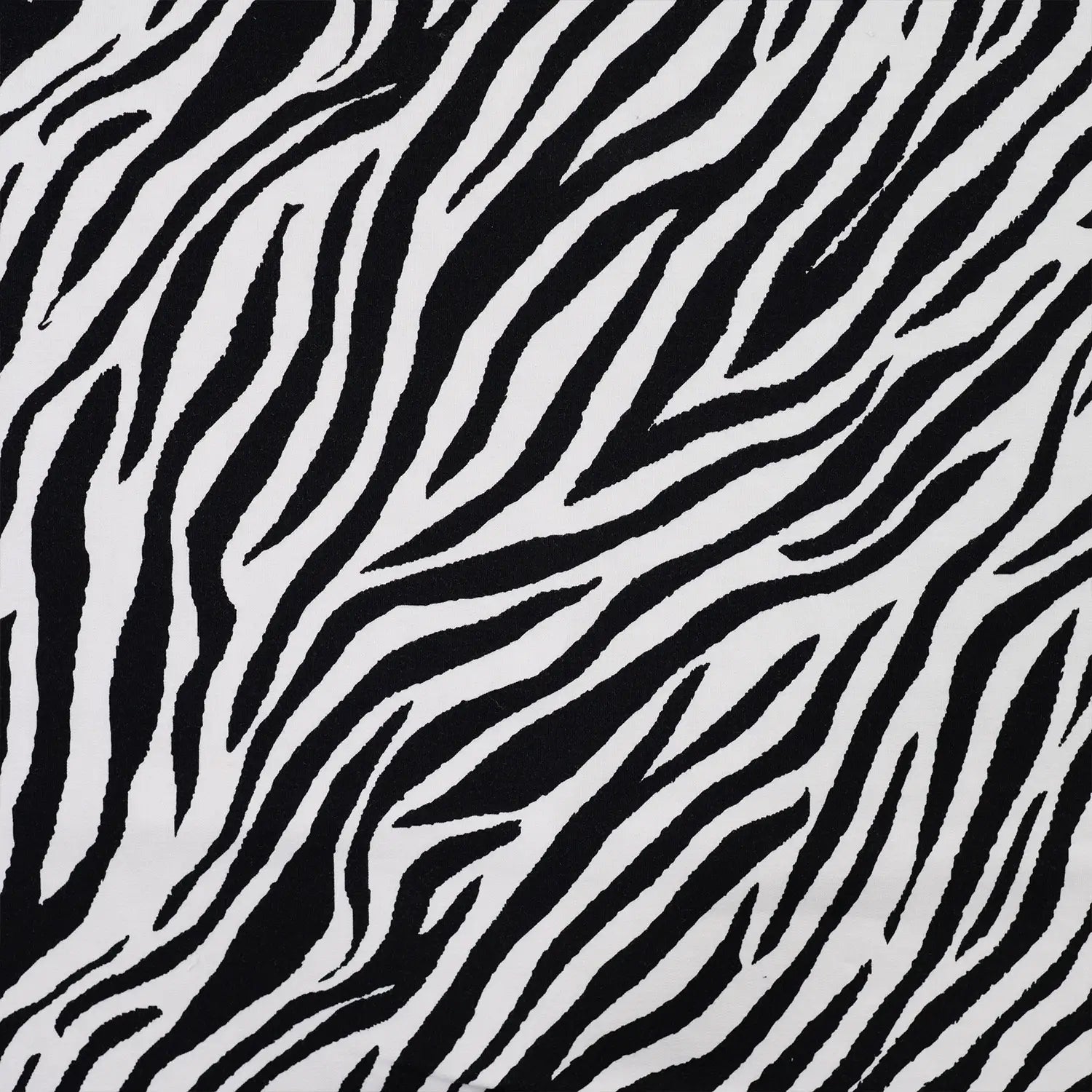 Image of cotton loop knit - zebra 230 g/m² – available at Šarlotes audumi