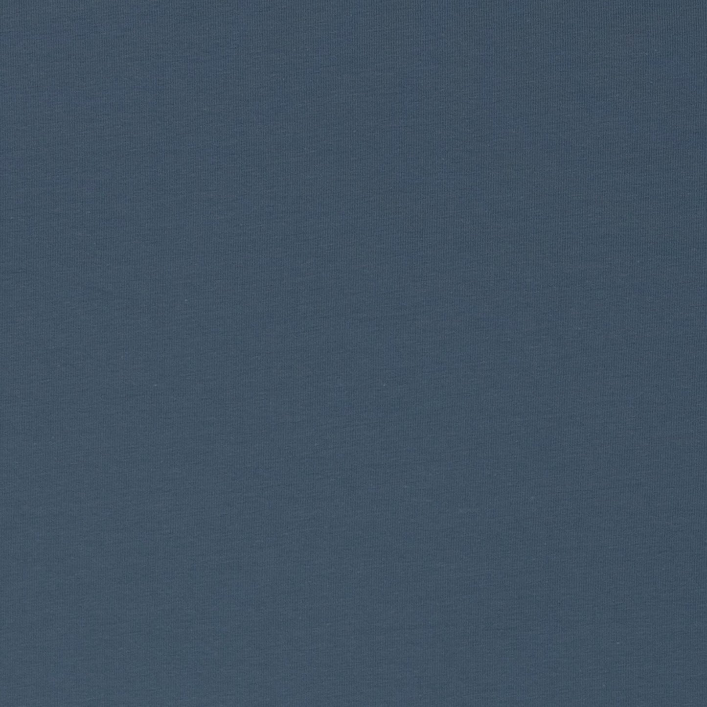 Image de jersey bouclette en coton Bleu brume 230 g/m² – disponible en ligne Šarlotes audumi