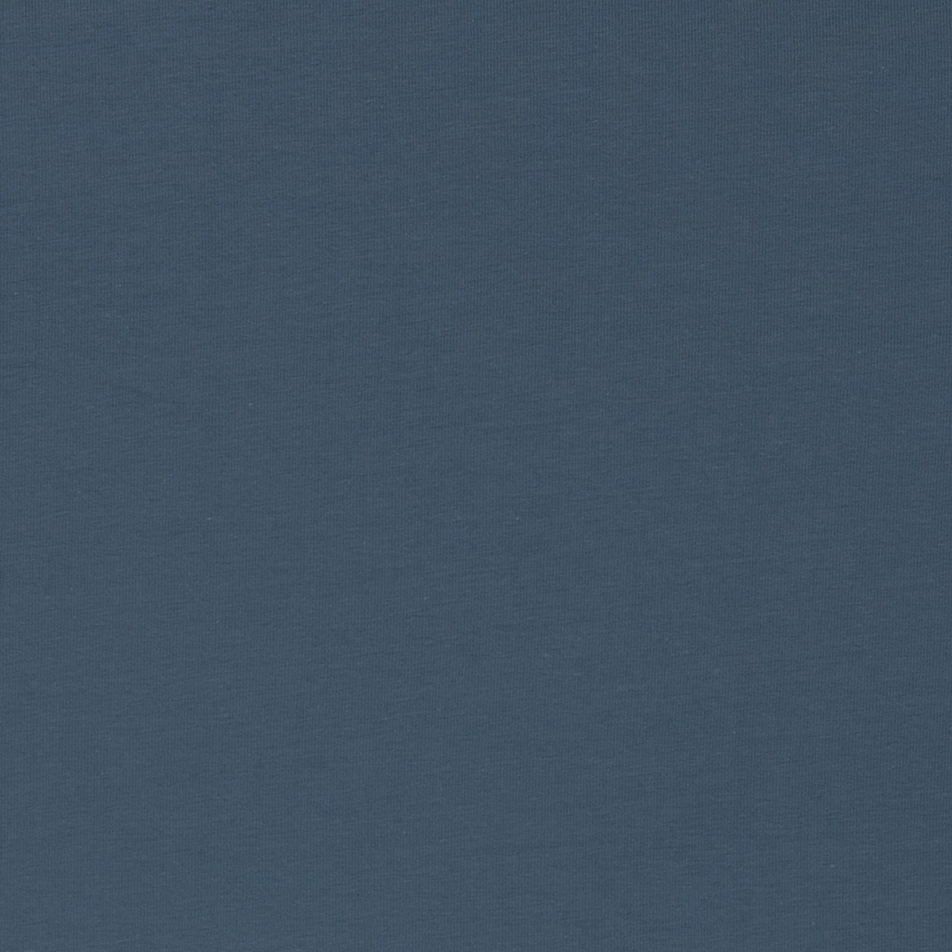 Image de jersey bouclette en coton Bleu brume 230 g/m² – disponible en ligne Šarlotes audumi