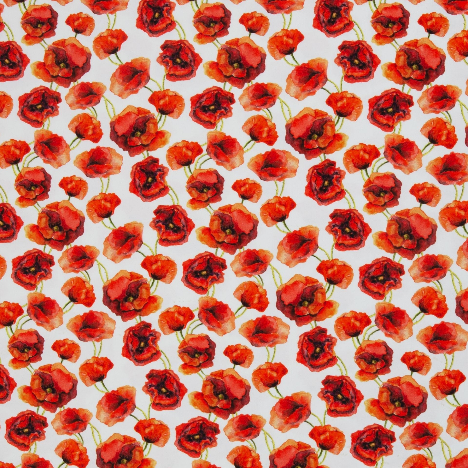Bild von Baumwoll-Jersey mit Mohnblumen 210 g/m² – online erhältlich bei Šarlotes audumi