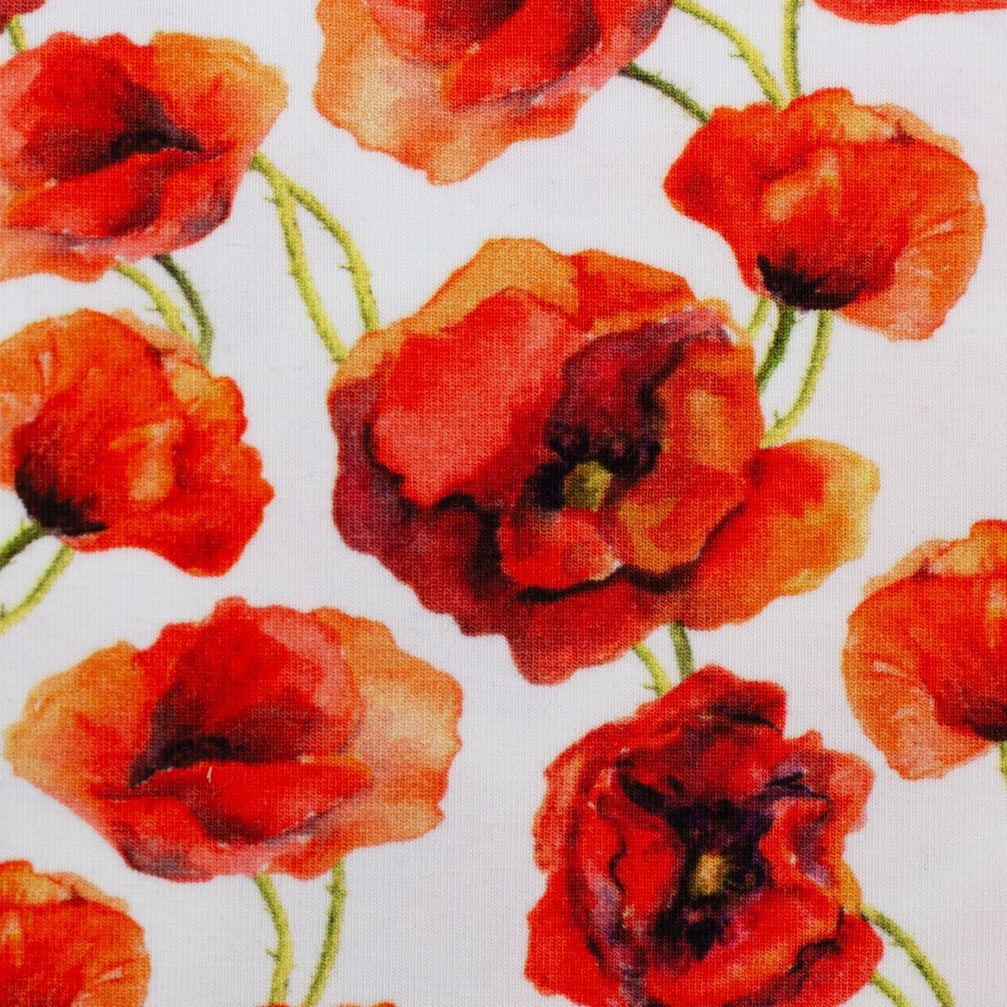 Bild mit Baumwolljersey-Mohnblumen 210 g/m² – online erhältlich bei Šarlotes audumi