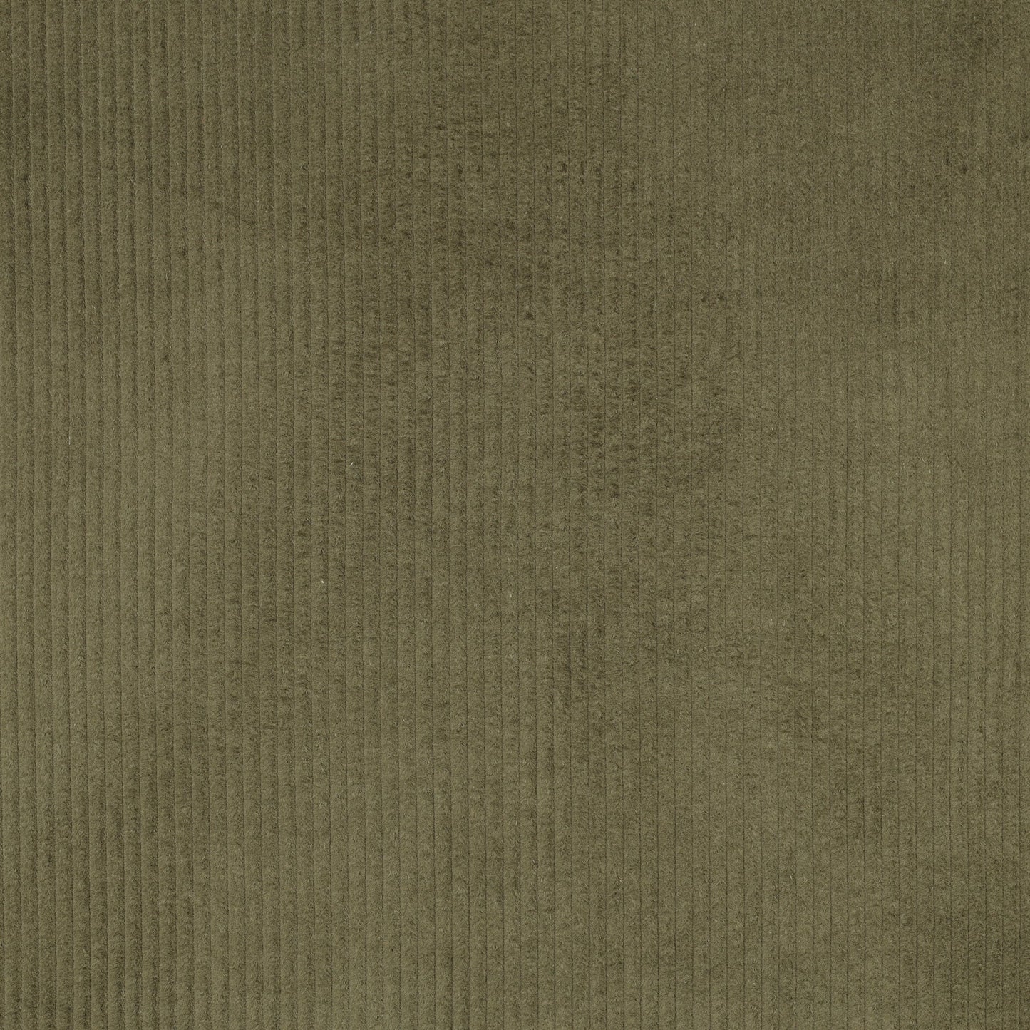Image du velours côtelé en coton - vert mousse 280 g/m² – disponible chez Šarlotes audumi