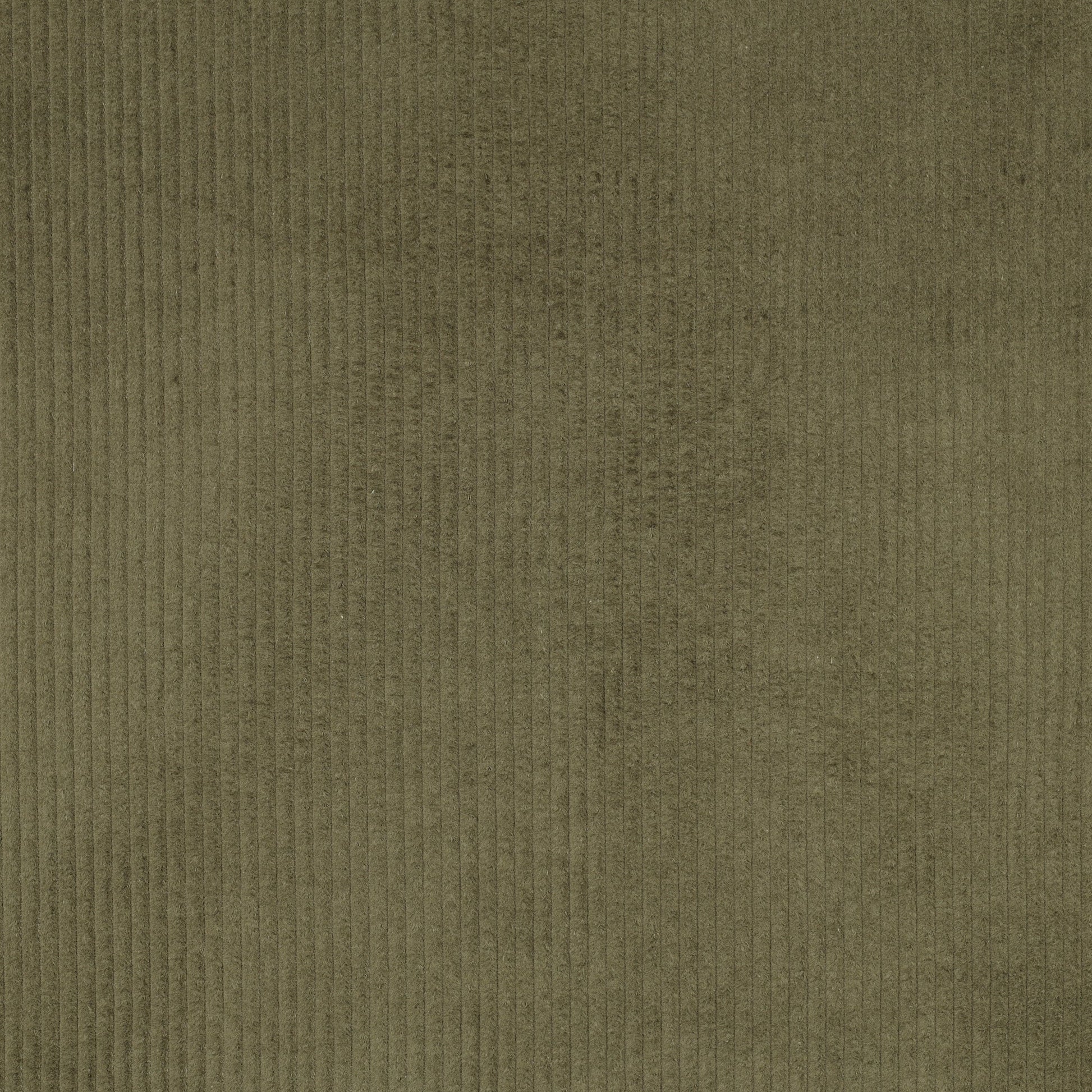 Image du velours côtelé en coton - vert mousse 280 g/m² – disponible chez Šarlotes audumi