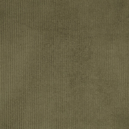Image du velours côtelé en coton - vert mousse 280 g/m² – disponible chez Šarlotes audumi