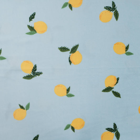Image with Minky fleece (smooth) - lemons 220 g/m² – available at Šarlotes audumi