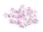 Violette