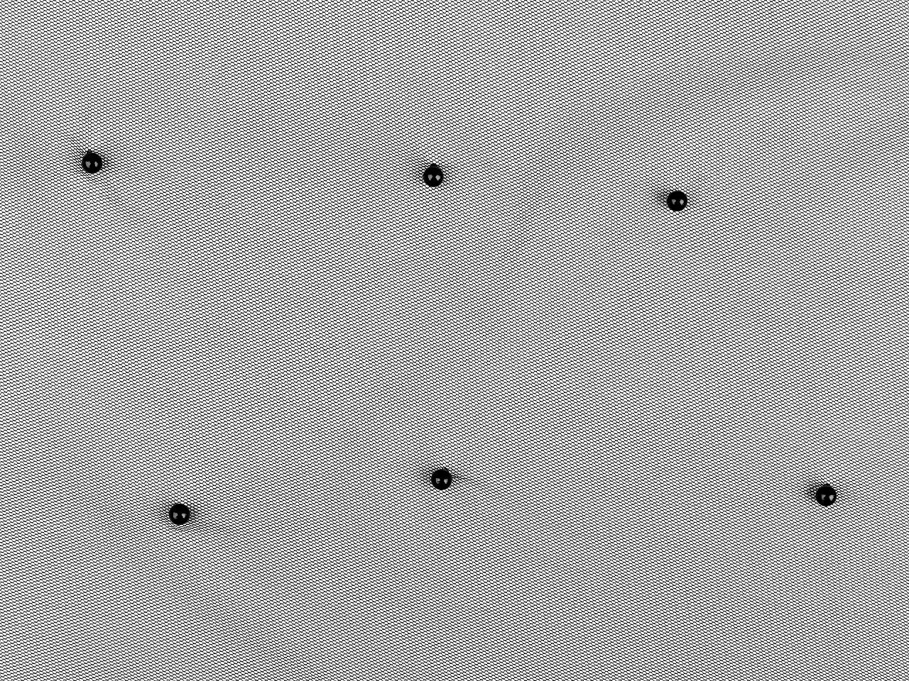Tulle fin avec perles 36 g/m² - noir – disponible chez Šarlotes audumi