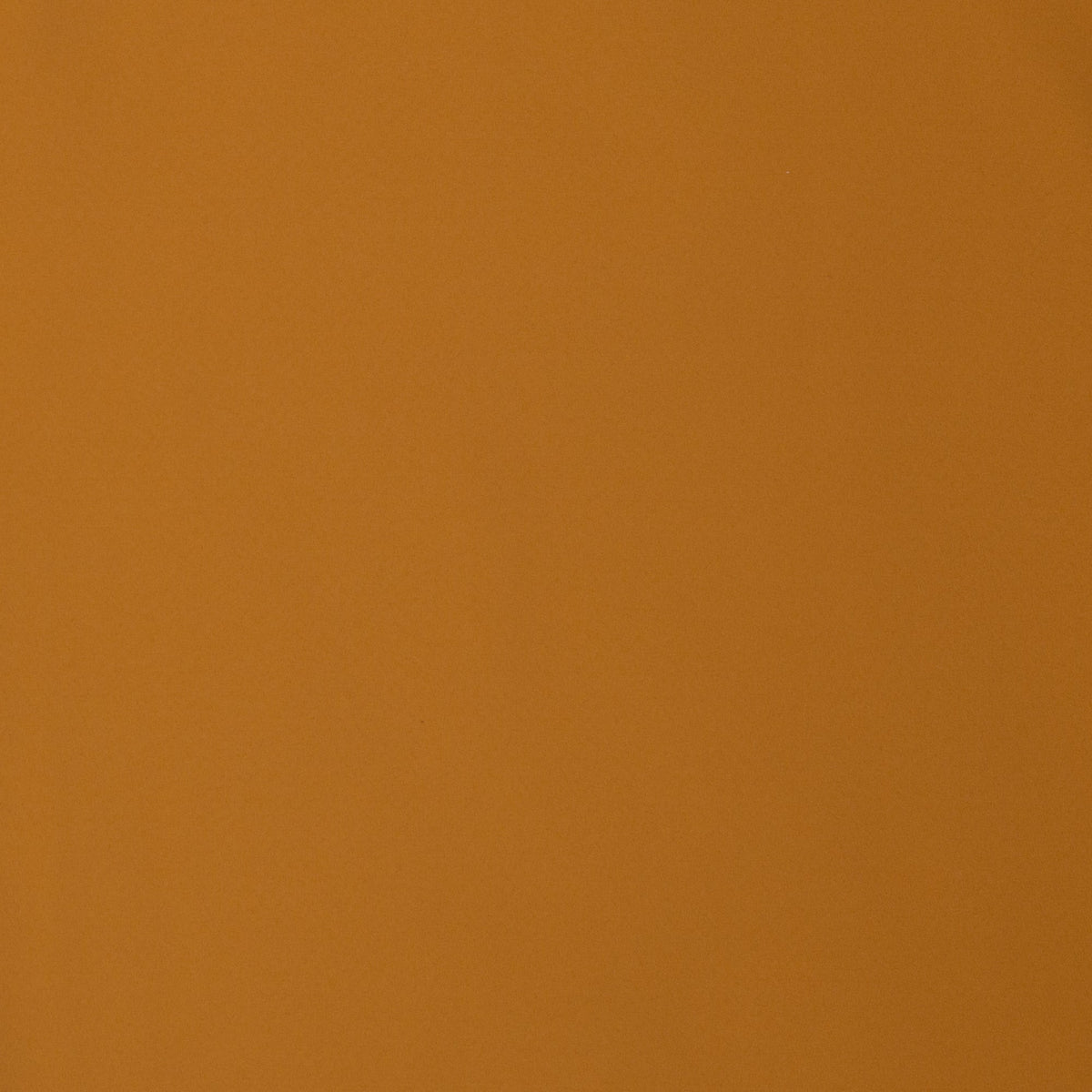 Image with waterproof softshell fabric - ochre yellow, available online at Charlotte's Fabrics