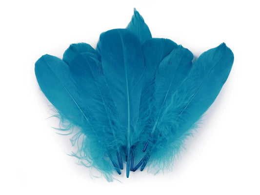 Spalvas zosu (14 - 18 cm) - zilais tirkīzs