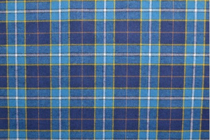 Blue tartan flannel